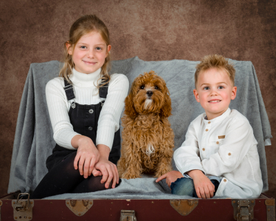 Img12086-128-117comp