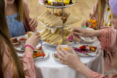 Press release advertising pamper party food