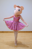 Sabrina Ballerina marketing image