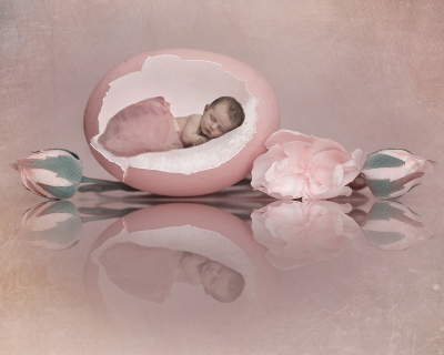 eggs-hatched-open-master-edit-3-with-texture-low-res