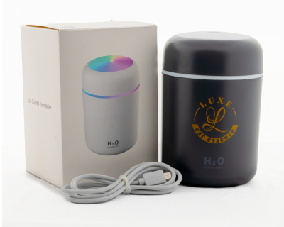 image showing in car humidifier