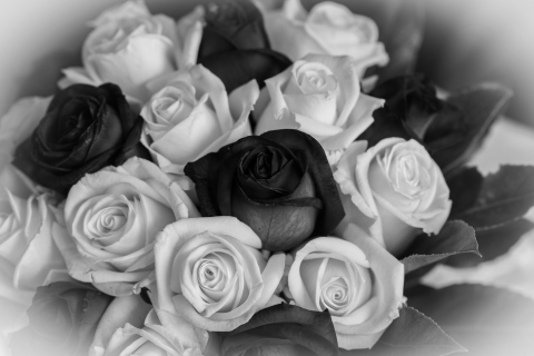 Detail-1b-mono-