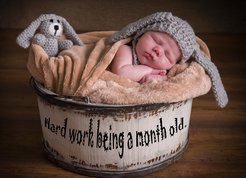 Newborn baby in prop bucket photographed in the studio of image and events photography in Peterborough, Cambridgeshire